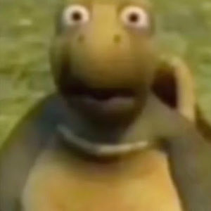 Meet your Posher, Jackson